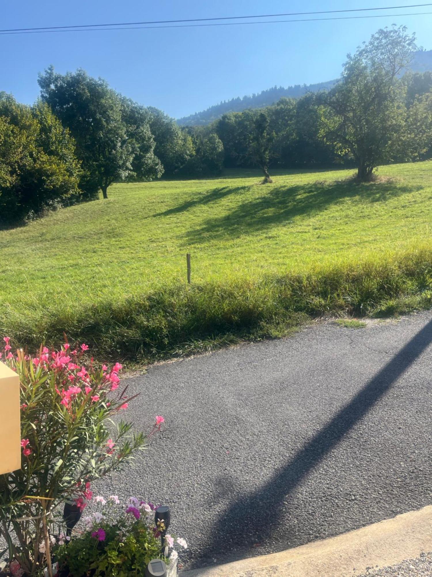 A Cote De Geneve 2 Apartment Saint-Cergues ภายนอก รูปภาพ